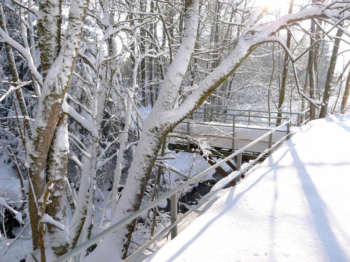 Ferienwohnungen Schönbachtal Drachselsried Exterior foto
