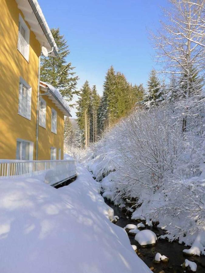 Ferienwohnungen Schönbachtal Drachselsried Exterior foto