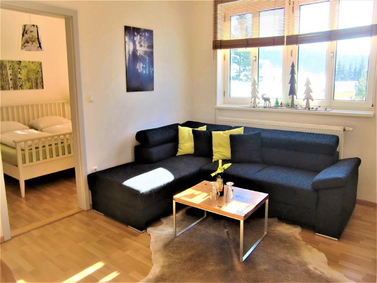 Ferienwohnungen Schönbachtal Drachselsried Exterior foto